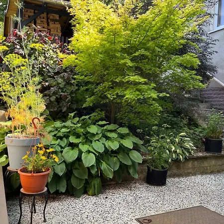 Daire Schicke In Der Altstadt *